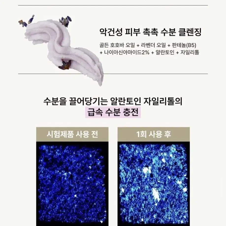 아이소이 립밤 01퓨어레드 + 휩드 팩클렌저 호호벤더 25ml