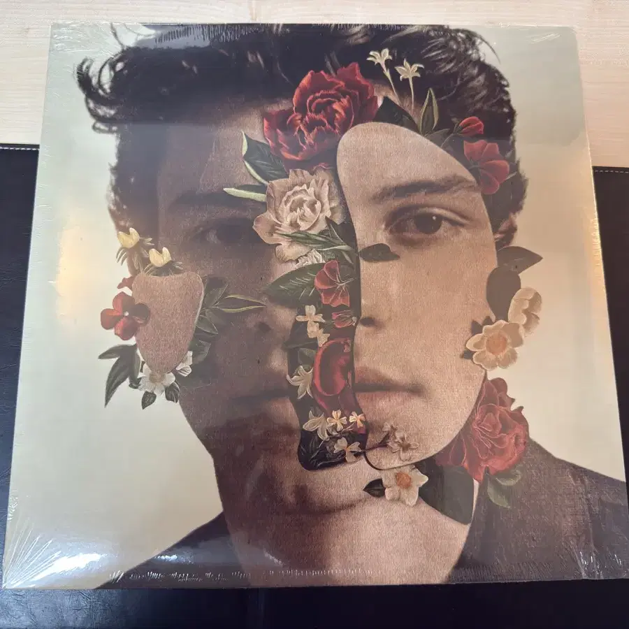 숀 멘데스(shawn mendes) LP 그린 한정반 미개봉 팝니다