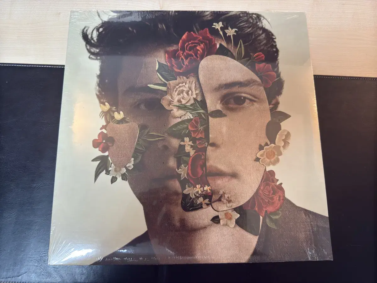 숀 멘데스(shawn mendes) LP 그린 한정반 미개봉 팝니다