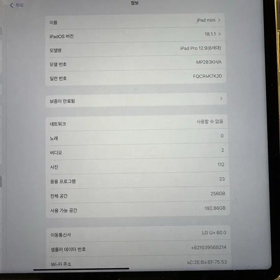 아이패드 프로 12.9 6세대 125G 셀룰러