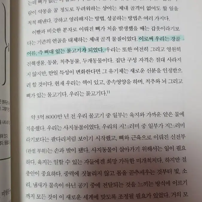 21세기를 여행하는 수렵채집인을 위한 안내서