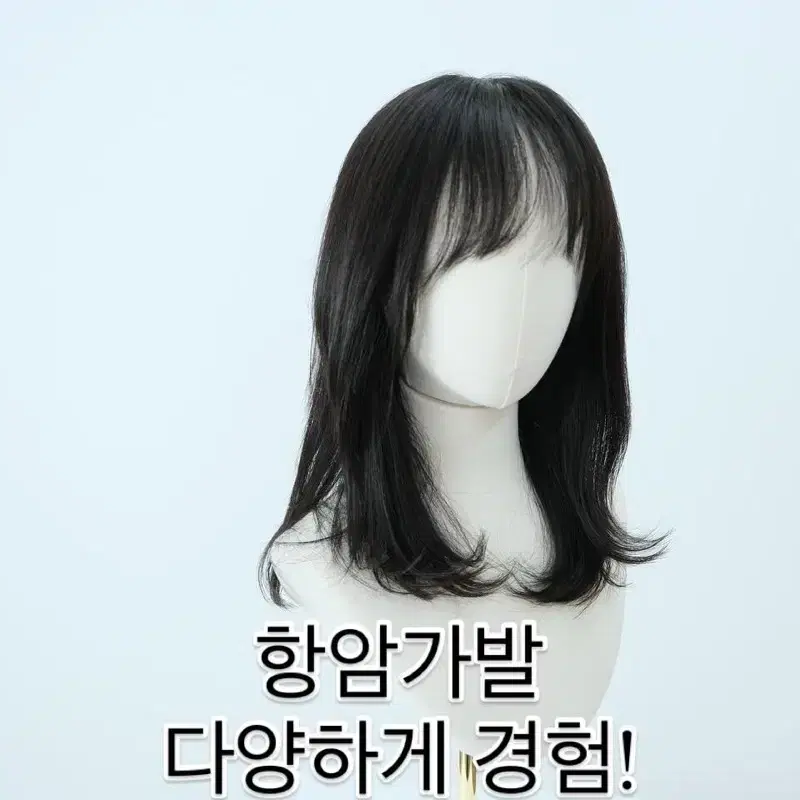 전체인모가발