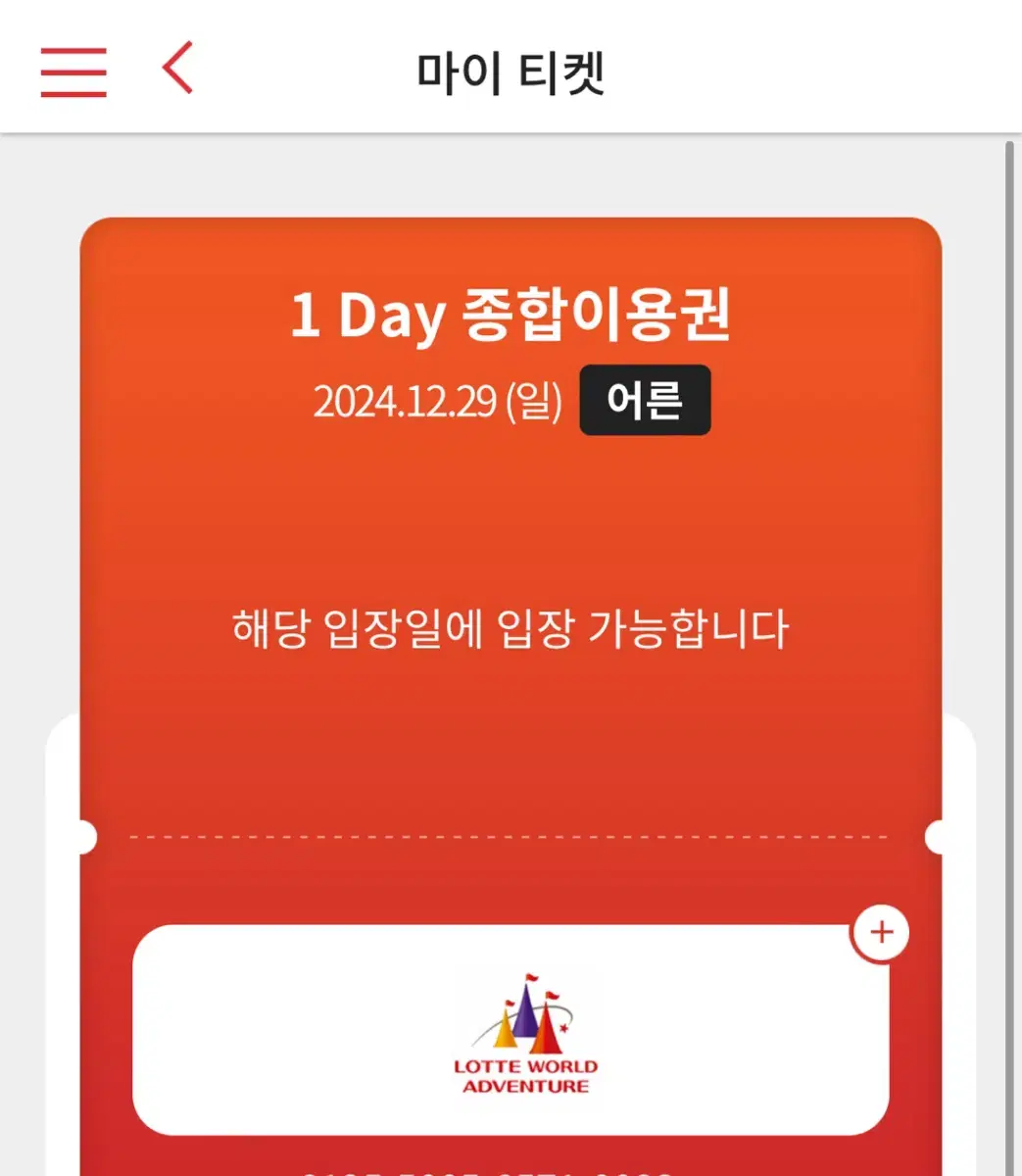 잠실 롯데월드 12월 29일 종일권