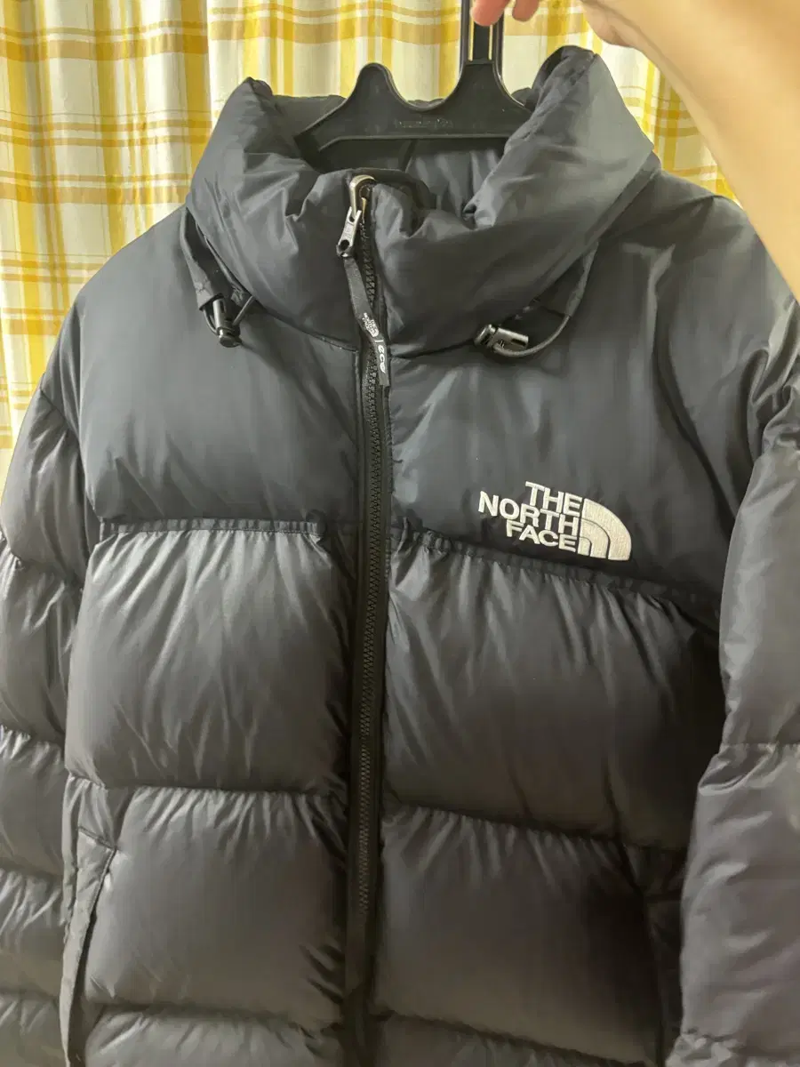 The North Face 1996 Nupsi L 100