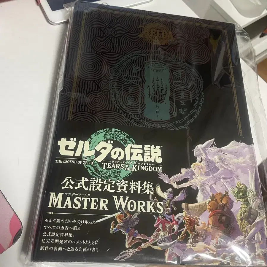 젤다 왕눈 MASTER WORKS 아트북