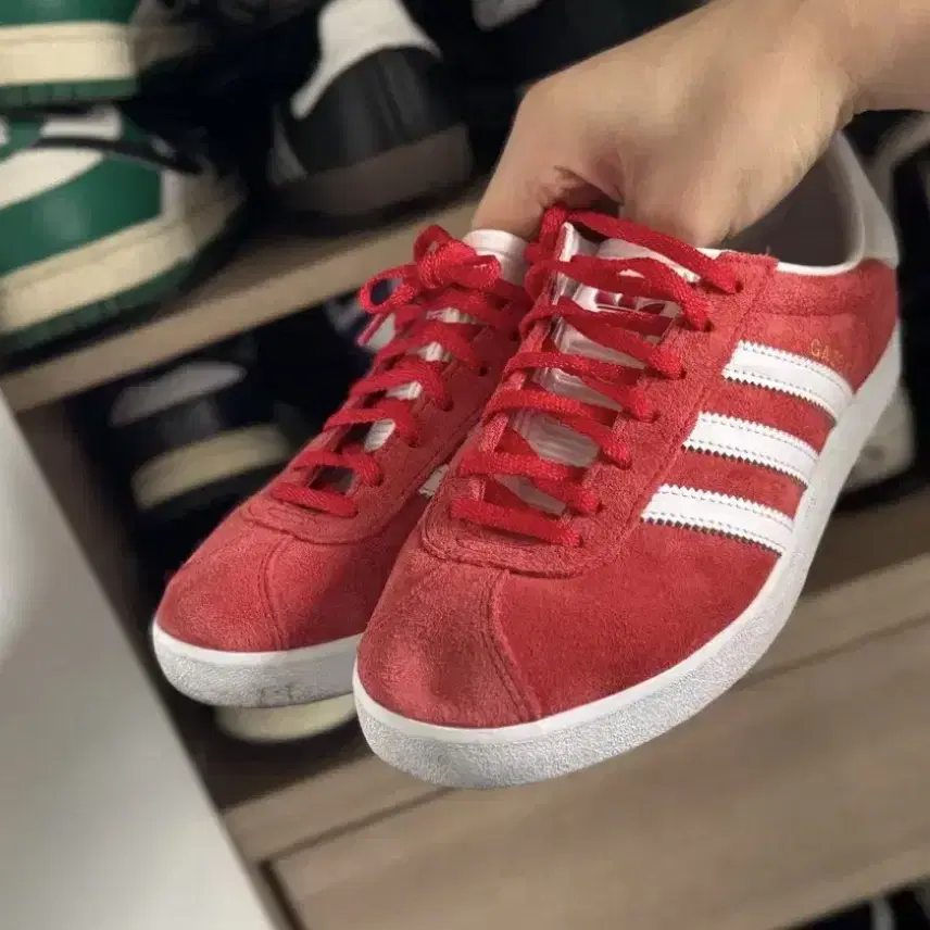 아디다스 가젤 레드 240 (W) Adidas Gazelle OG Red