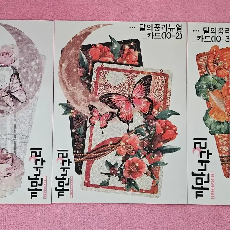 까만너구리 달의꿈 리뉴얼 10종 장당 200원 인스 블로거 다꾸 인물집