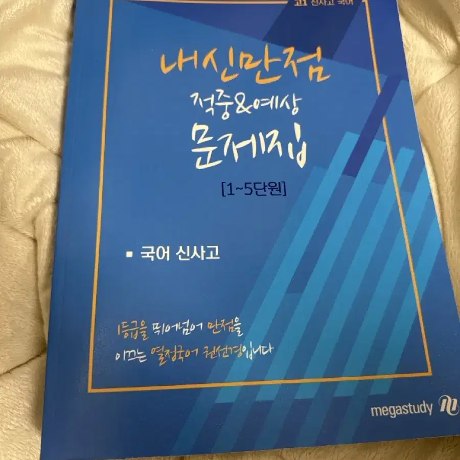 메가스터티 권선경 신사고 고1 국어 1~5단원 정가 28000