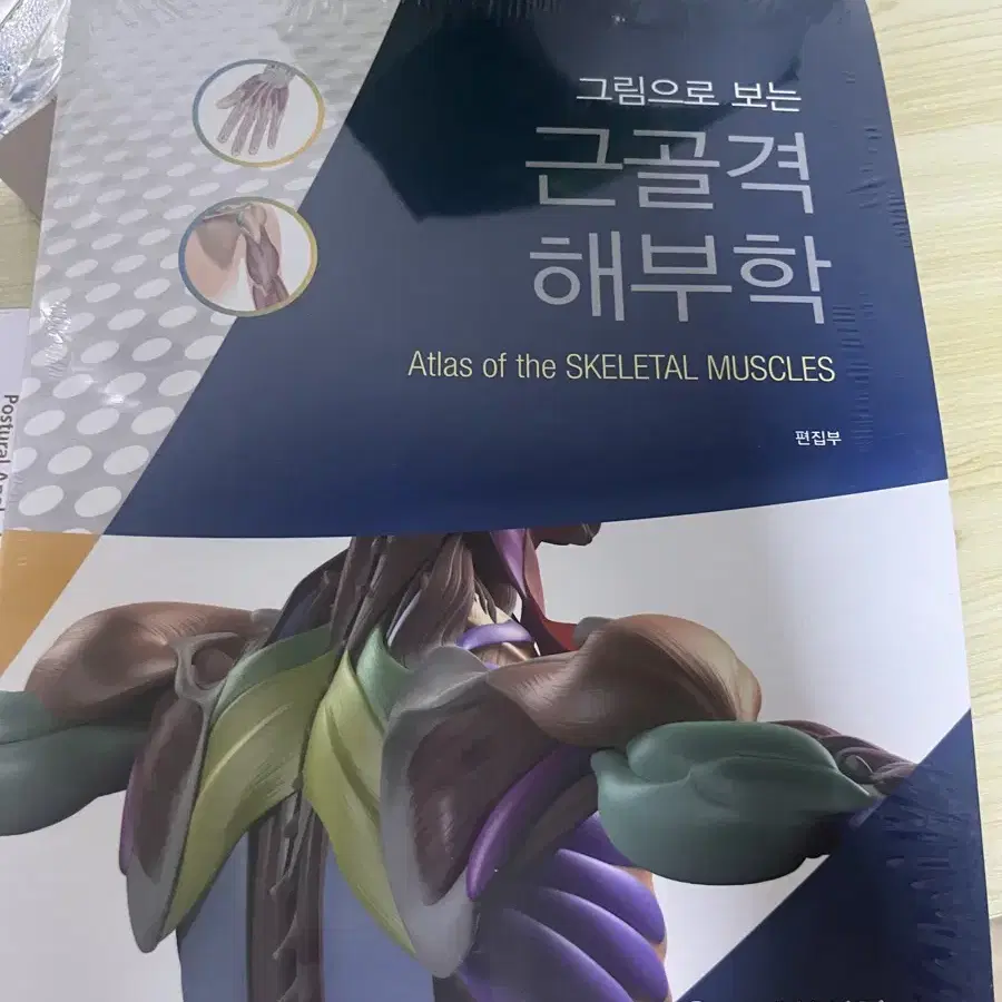 해부학 책