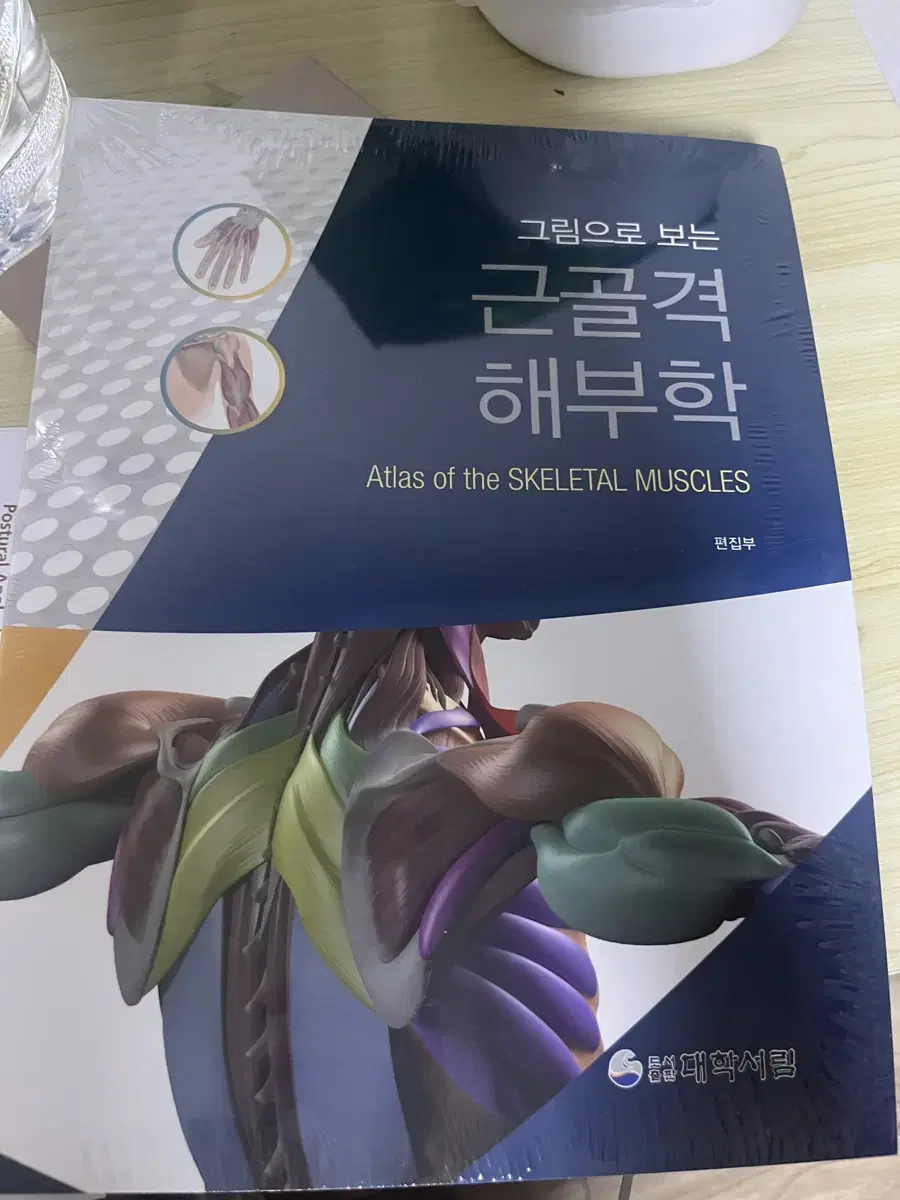 해부학 책