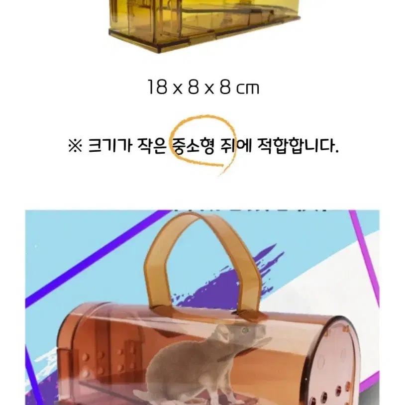 포획틀 쥐덫 햄스터 팬더마우스 피그미다람쥐