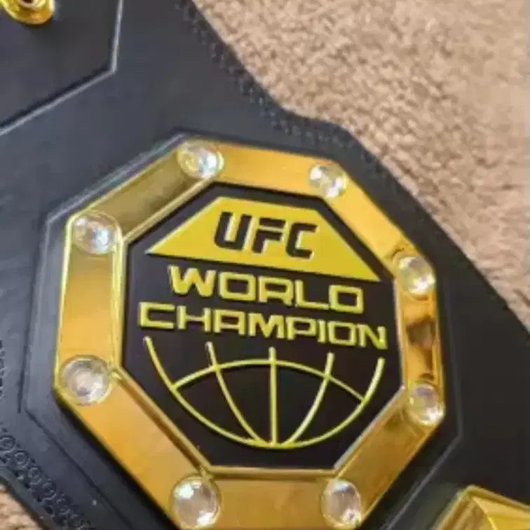 ufc 챔피언 벨트