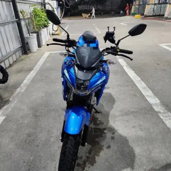 suzuki gsx s 125