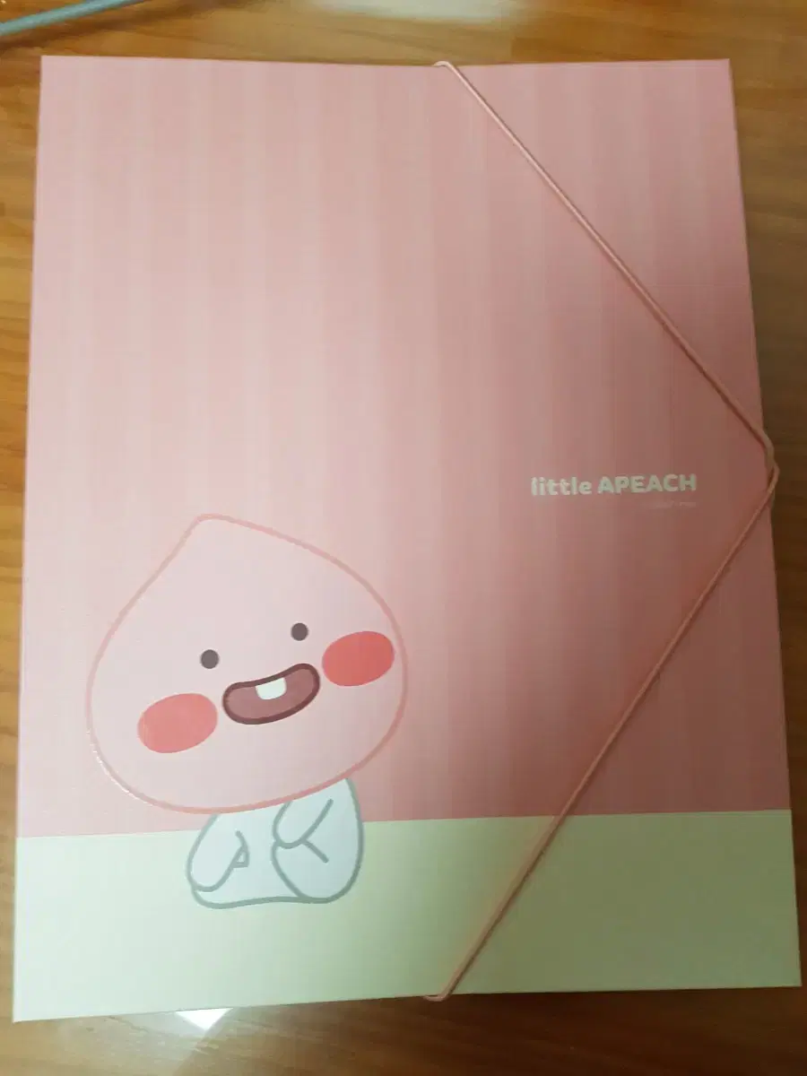 KakaoFriends Apitch Mini Binder