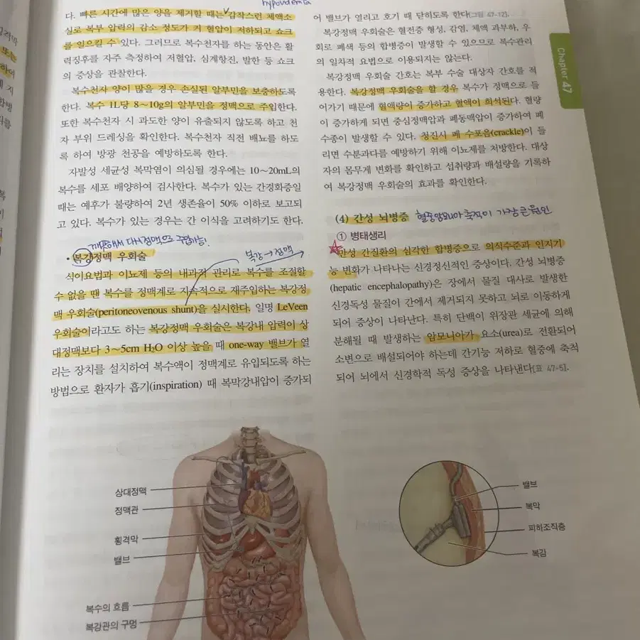 성인간호학 퍼시픽북스