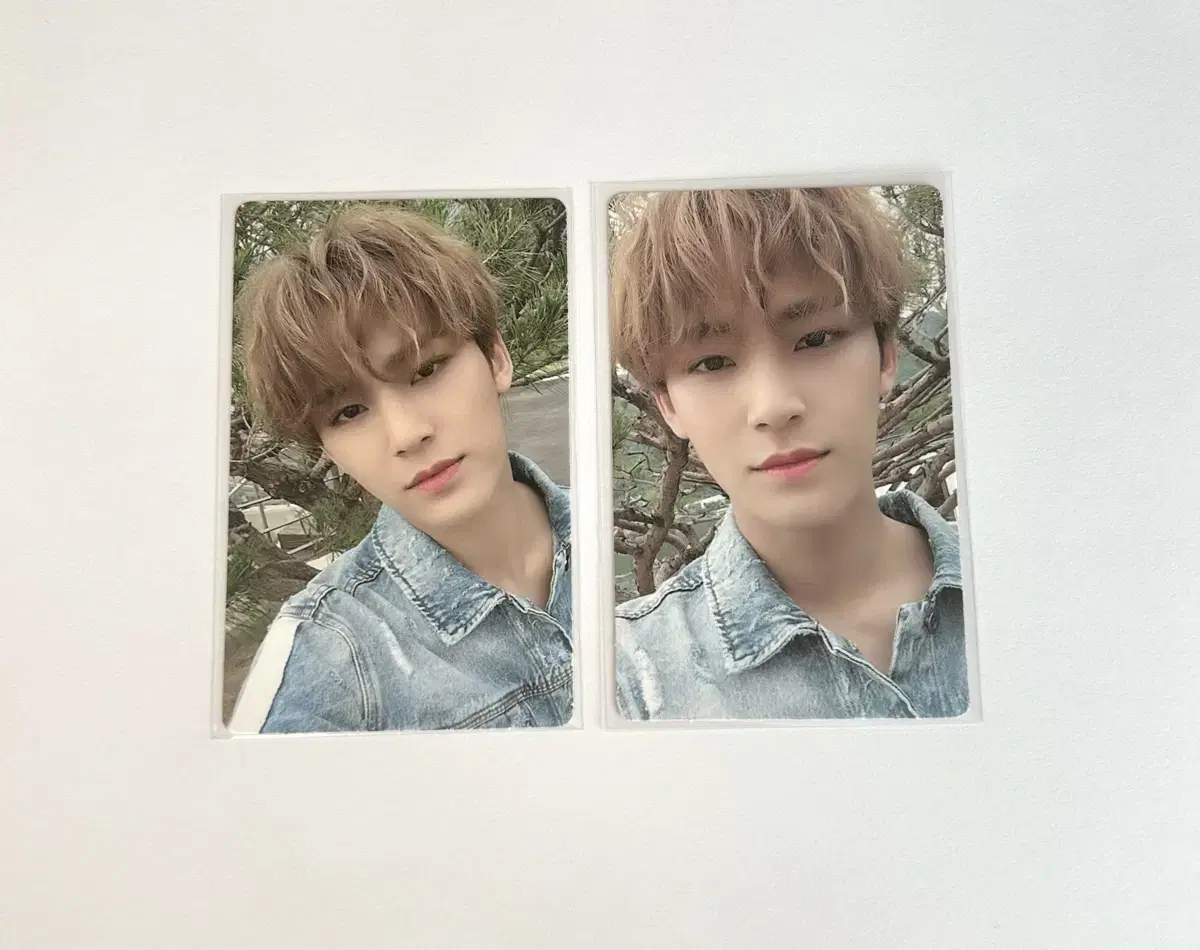 Seventeen what the hell ymmd mingyu photocard wts!