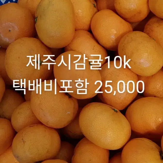 제주시 감귤10kg 25,000 택배비포함