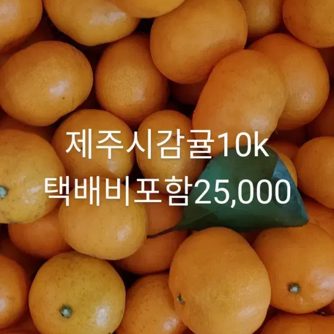 제주시감귤10k 25,000