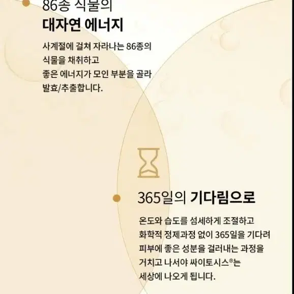 숨37 시크릿 멀티스킨 패드 70매