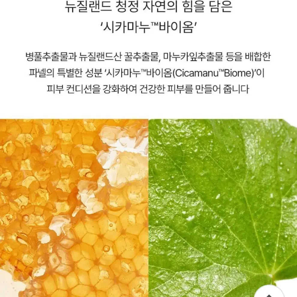 파넬 시카마누 스킨핏 파운데이션 0.5호 30ml