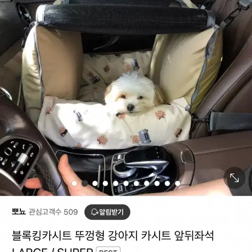 뽀뇨 강아지 카시트