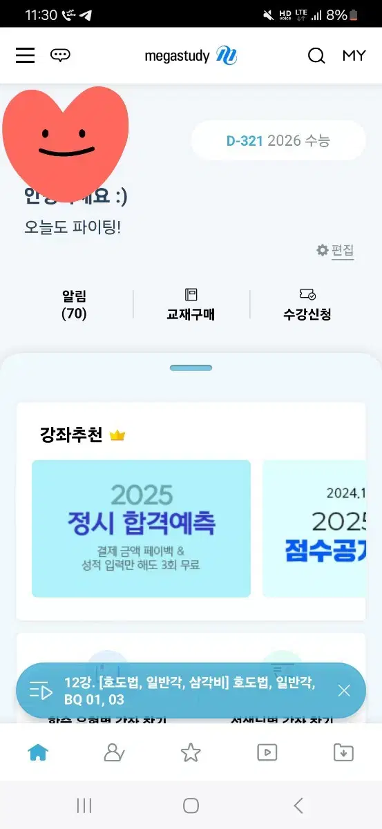 메가패스