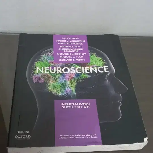 neuriscience