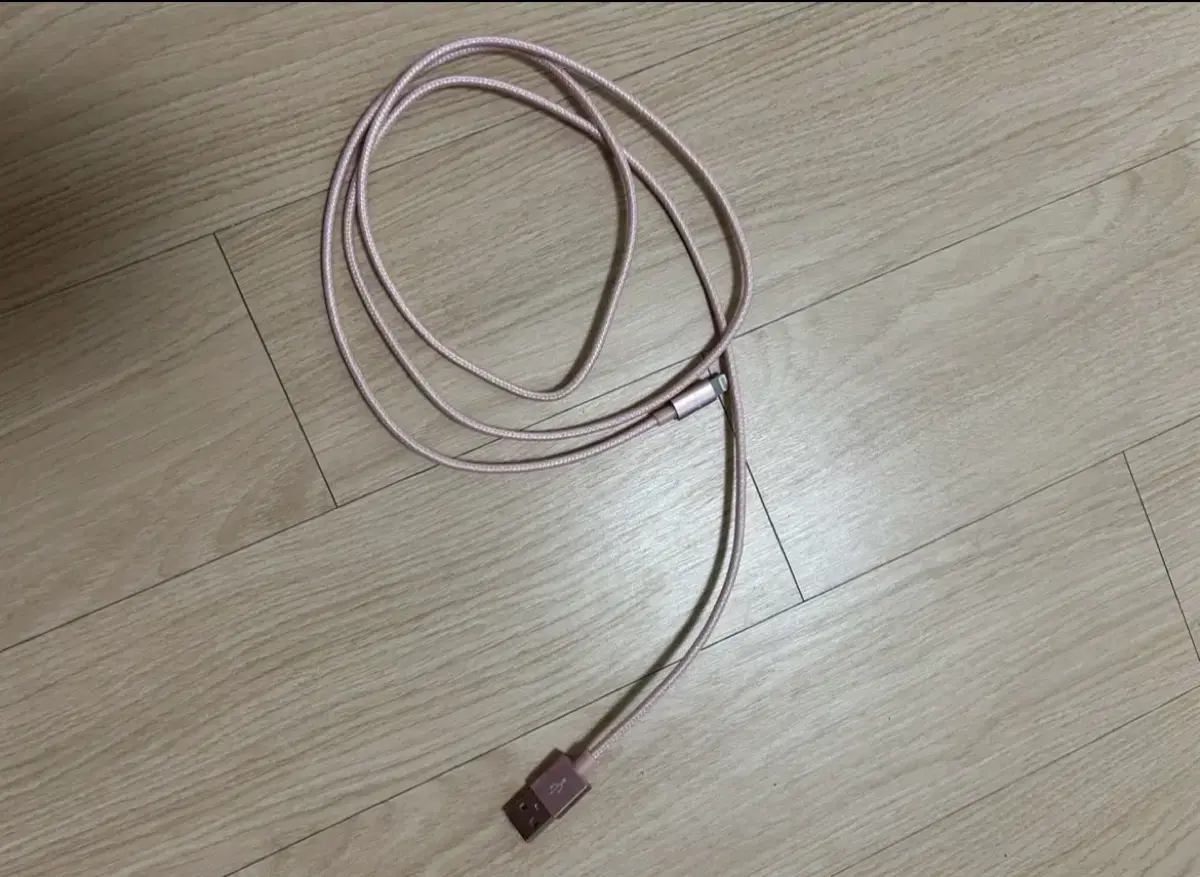 iPhone charging cable