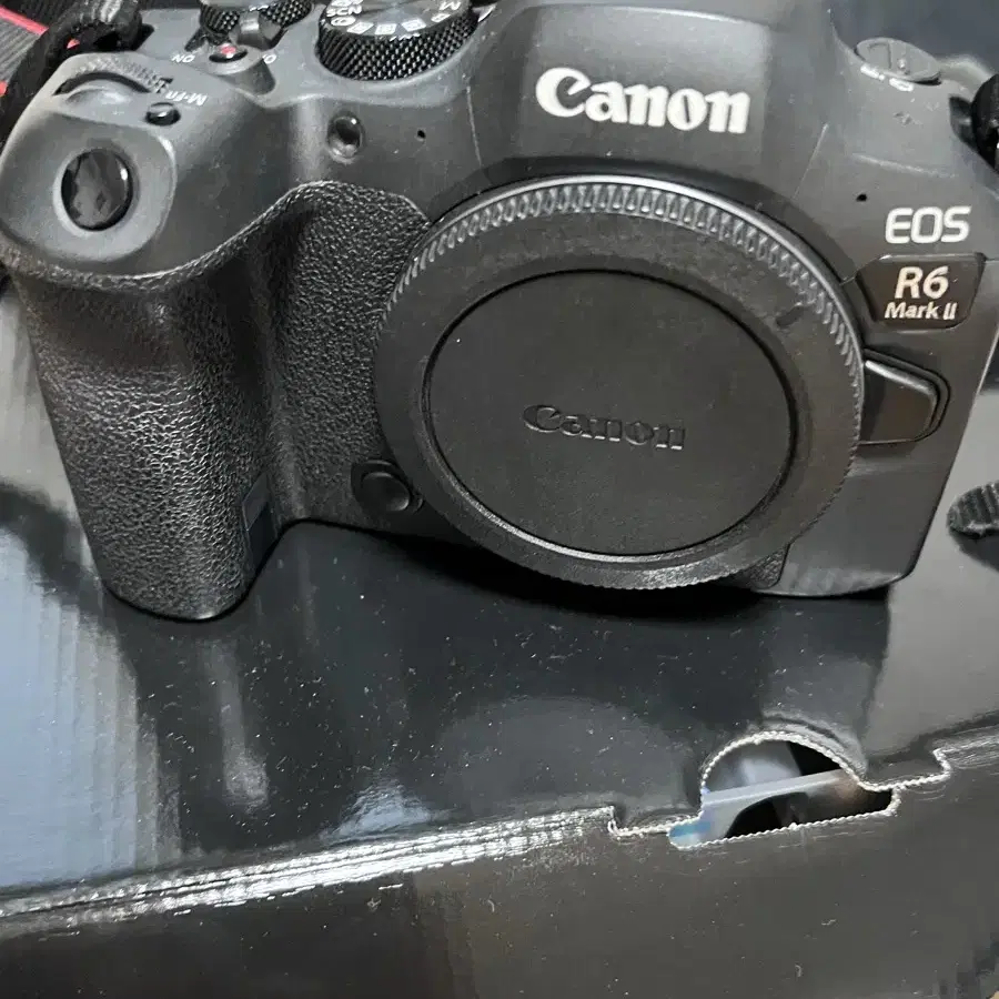 캐논 EOS r6m2