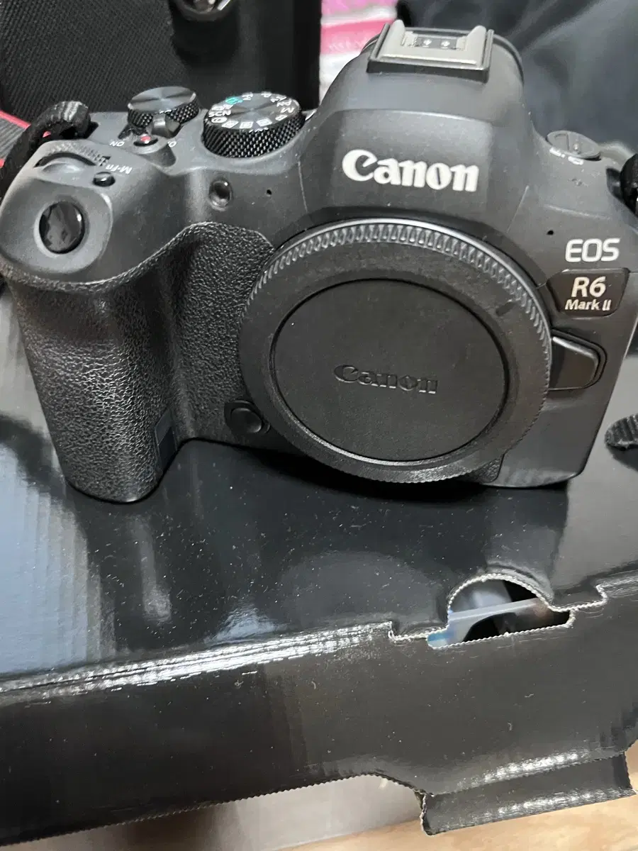 캐논 EOS r6m2