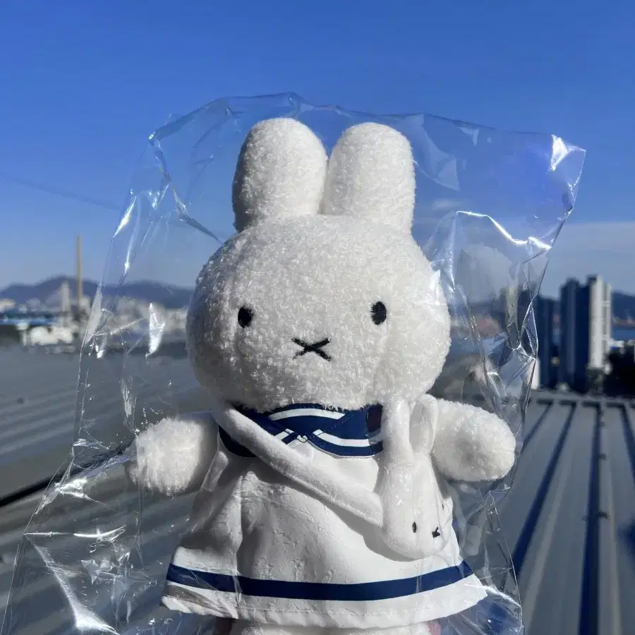 미피 부산에디션 마린미피 부산한정 marine sailor miffy