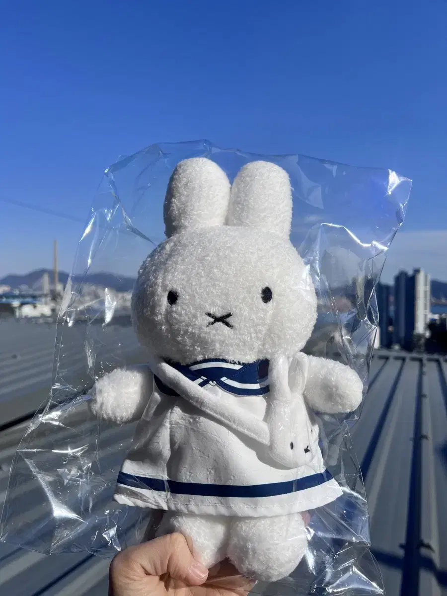 Miffy BusanEdition MarineMiffy Busan Limited MARINE SAILOR MIFFY