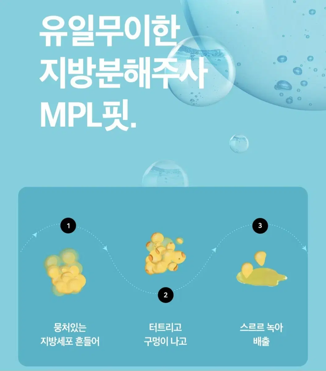 지방분해주사 MPL 4회