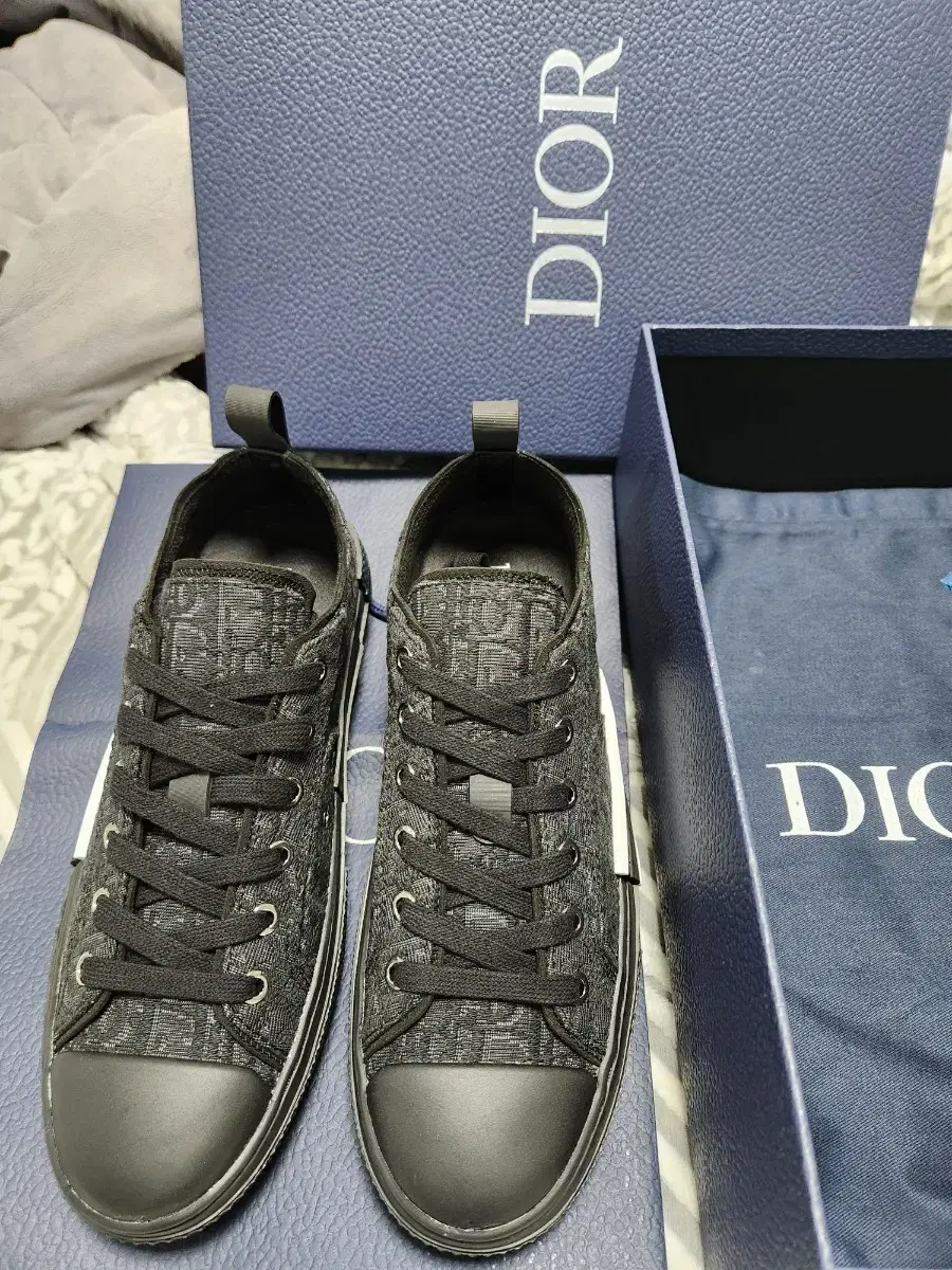 Dior Low Top Sneakers (New)