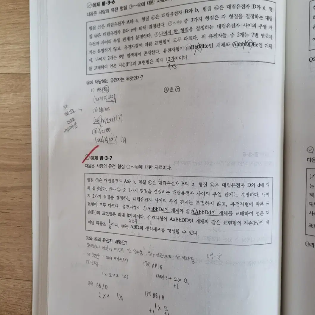 [고양이 필기노트 증정]2024 박선우T 고양이 다짐 노트 싸게 팝니다