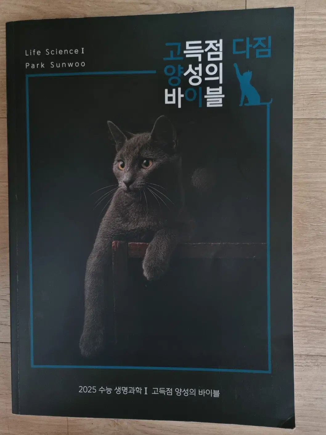 박선우T 고양이 다짐 노트 싸게 팝니다