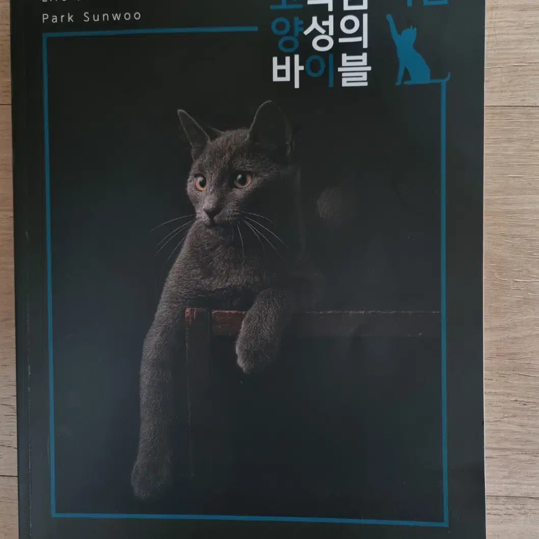 [고양이 필기노트 증정]2024 박선우T 고양이 다짐 노트 싸게 팝니다