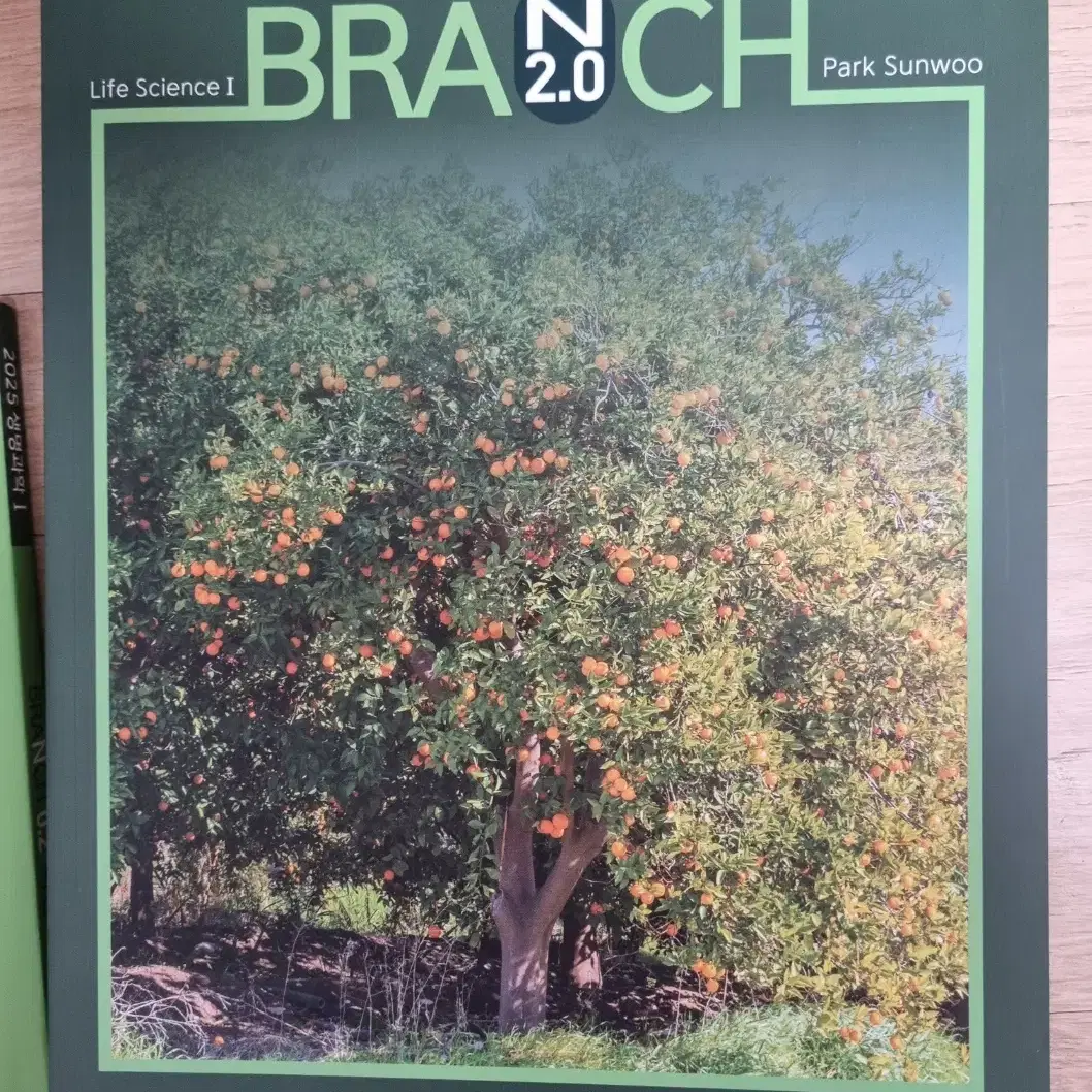 [새책]박선우T 2024 브런치Branch N제 싸게 팝니다(낱개 가능)