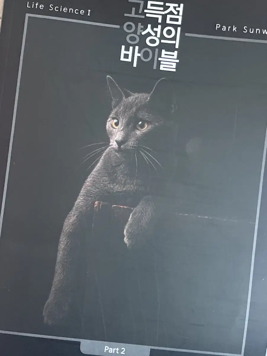 [배송비포함] 박선우 고양이 대성마이맥 생명 part2