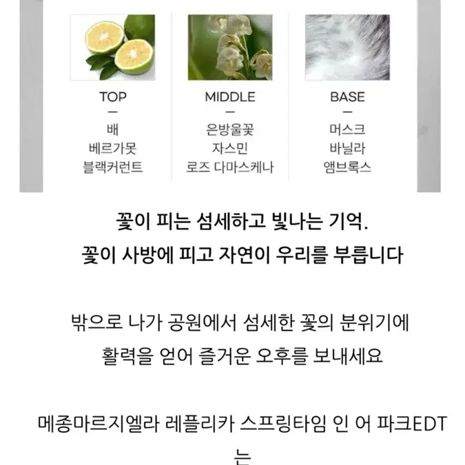 메종마르지엘라 레플리카 스프링타임인어파크 100ml