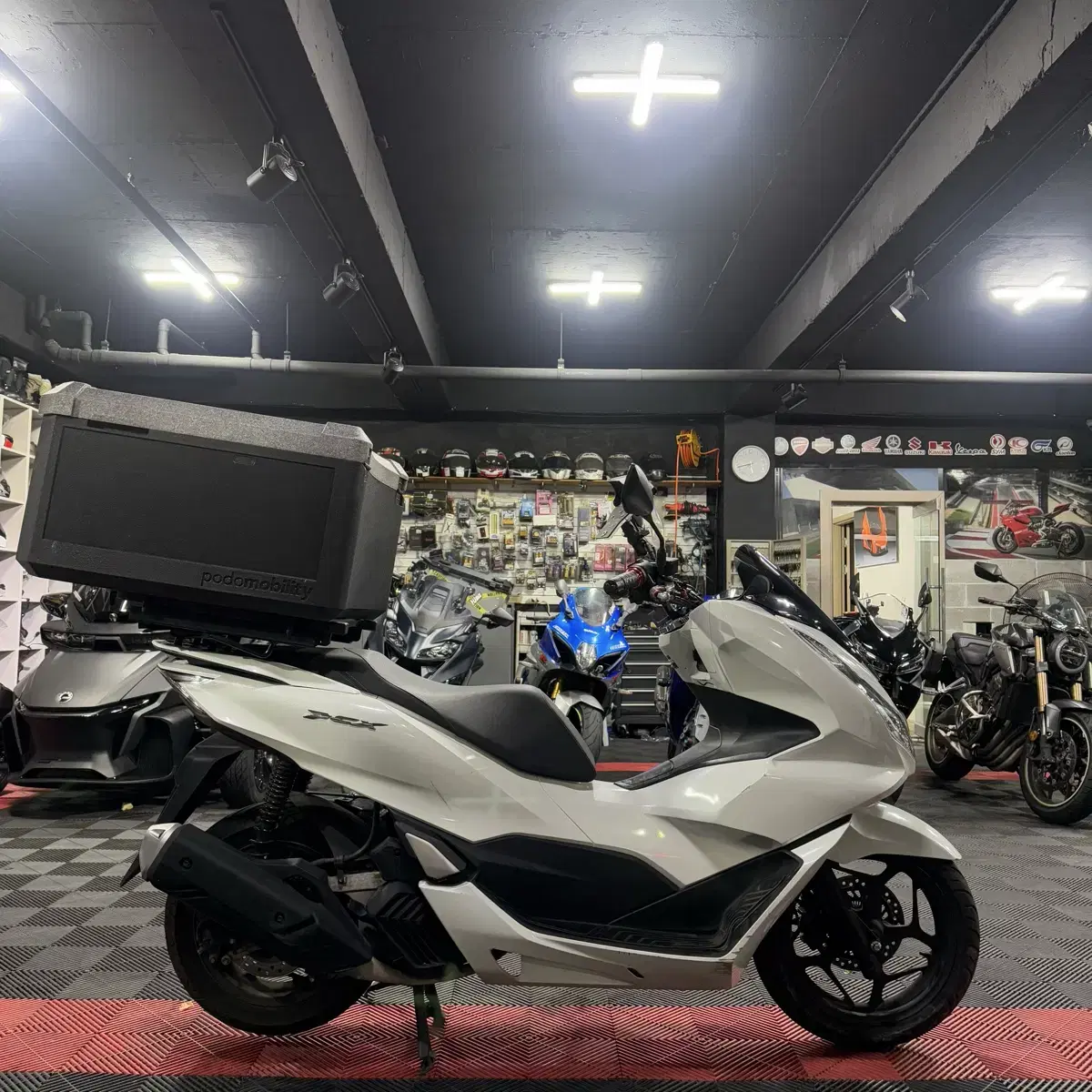 [경남 창원/부산] 2022 혼다 PCX125 ABS