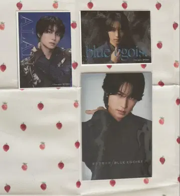 blue 에고이스트 아베 켄아무개군 세트