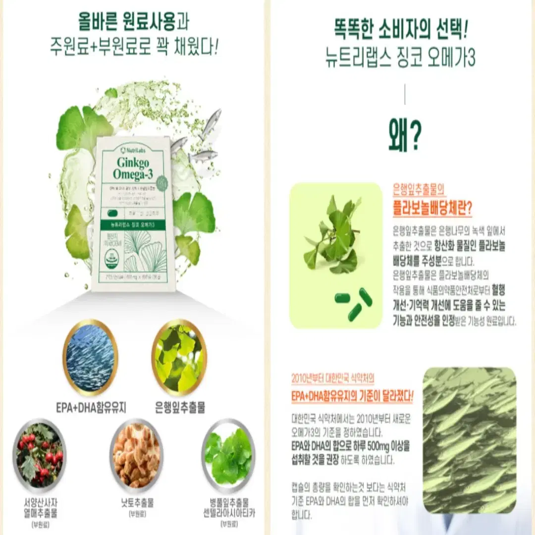 은행잎추출물 DHA EPA 징코 수험생 오메가3 60캡슐