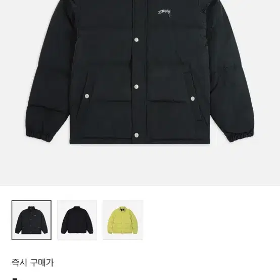 스투시 20fw 푸퍼 자켓