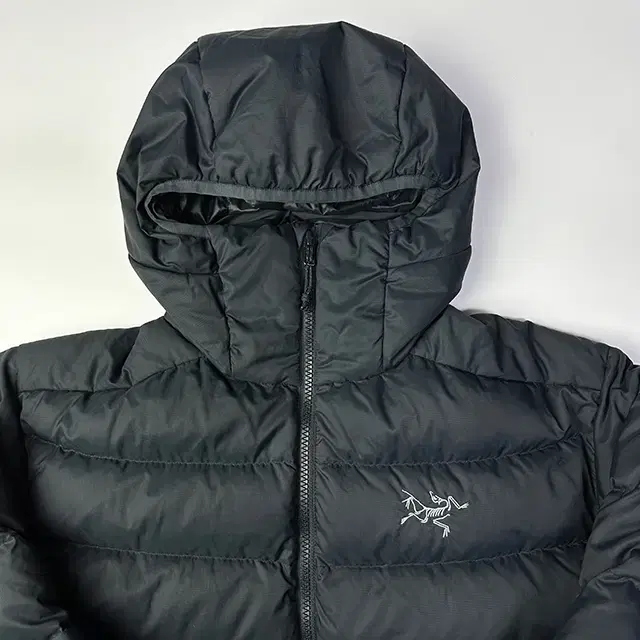 ARC'TERYX Thorium AR Hoody 아크테릭스 토륨 자켓