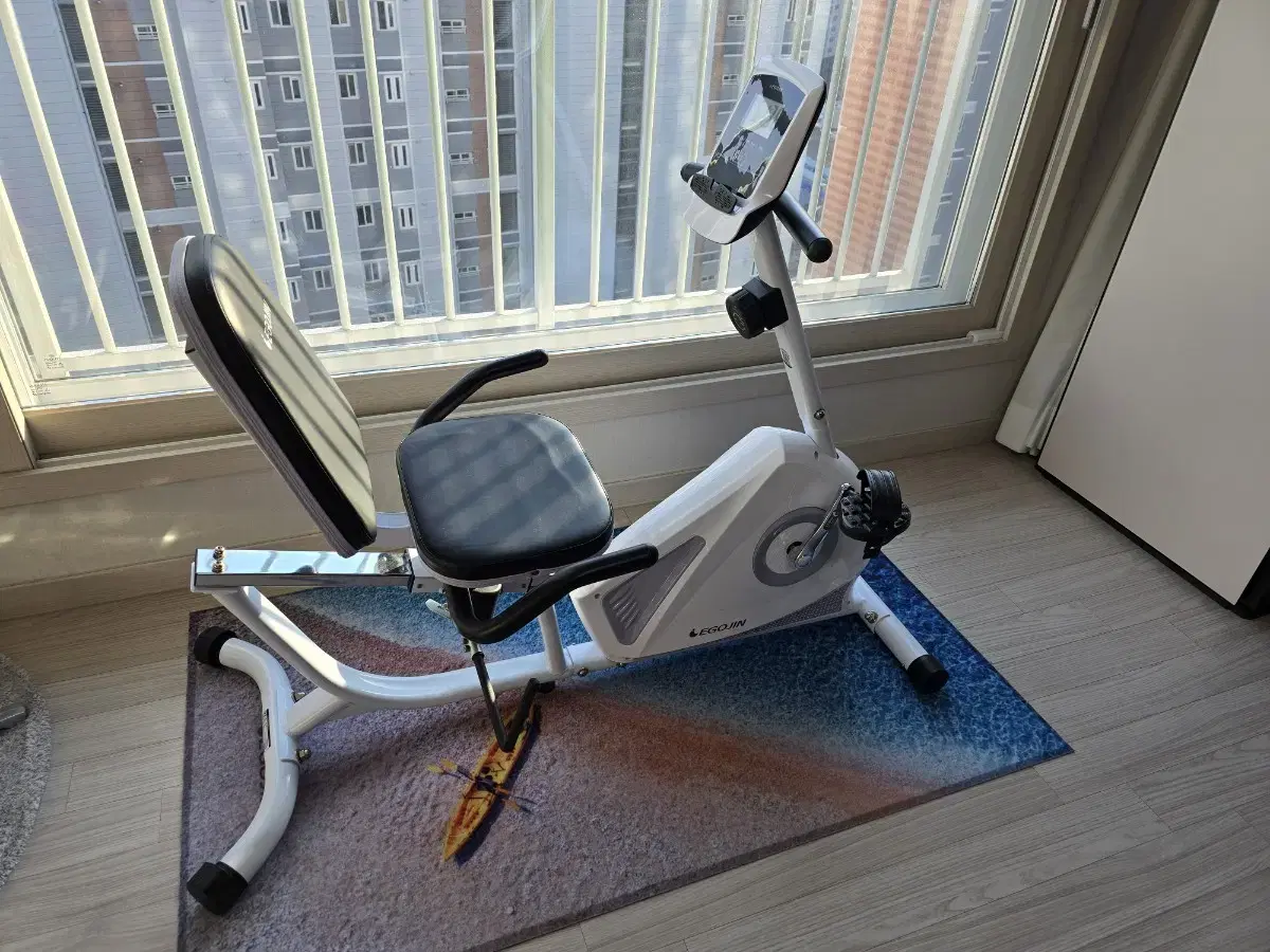 Igojin 704R Indoor Bike Fitness Cycle