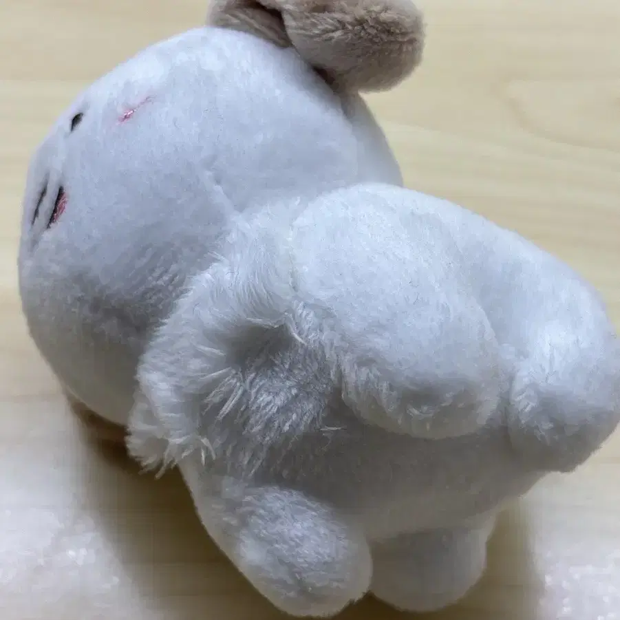 라이즈 멍룡이 인형