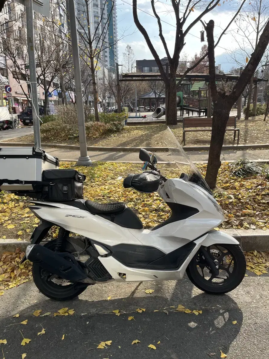 22년 abs탑재 pcx 30일까지 250만