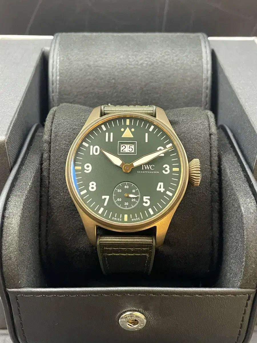 IWC 빅파일럿 빅데이트