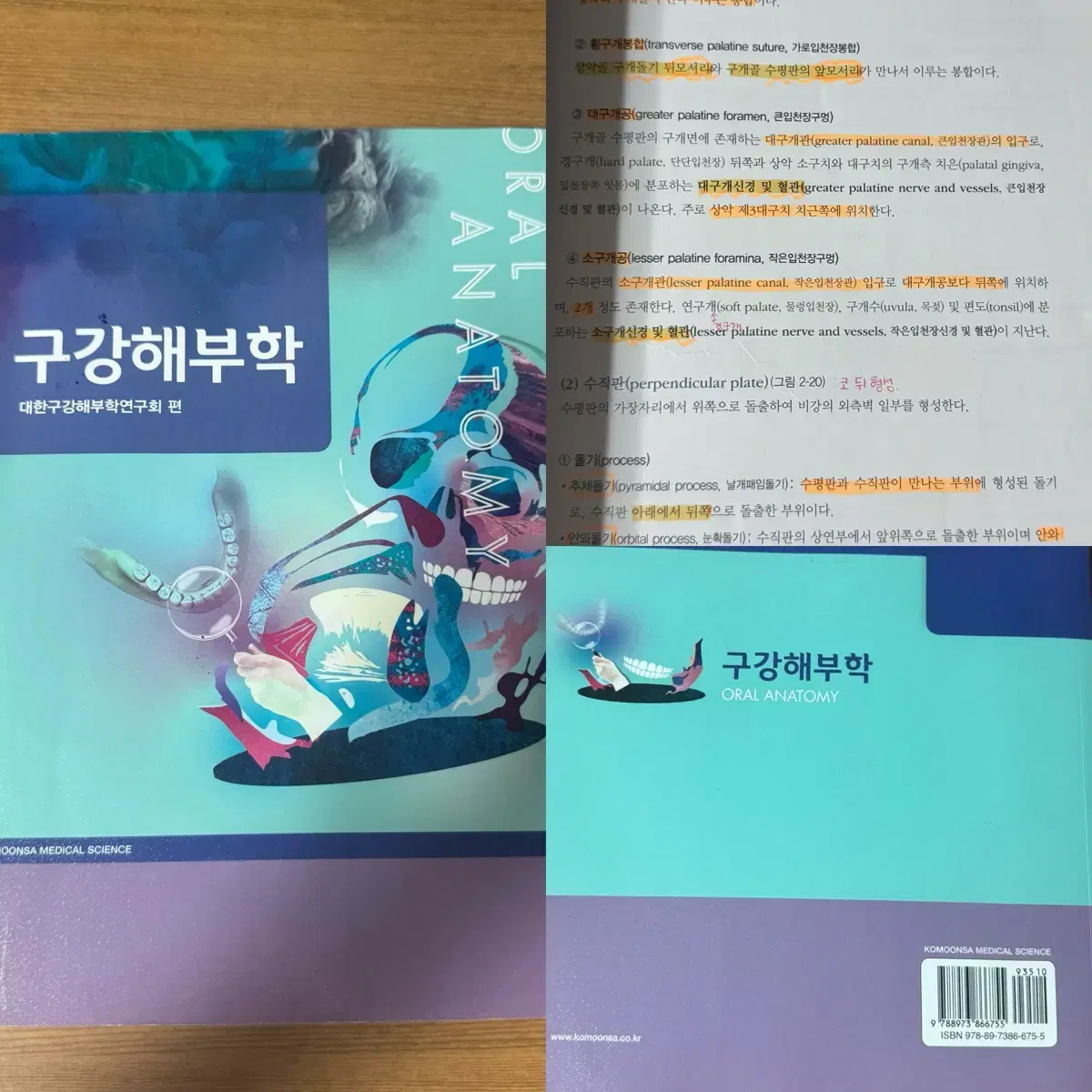 치위생과 교재 한 권에 만 원 판매